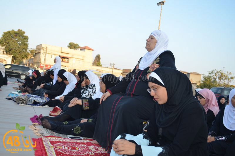 lud salah 3eed hq (8).JPG